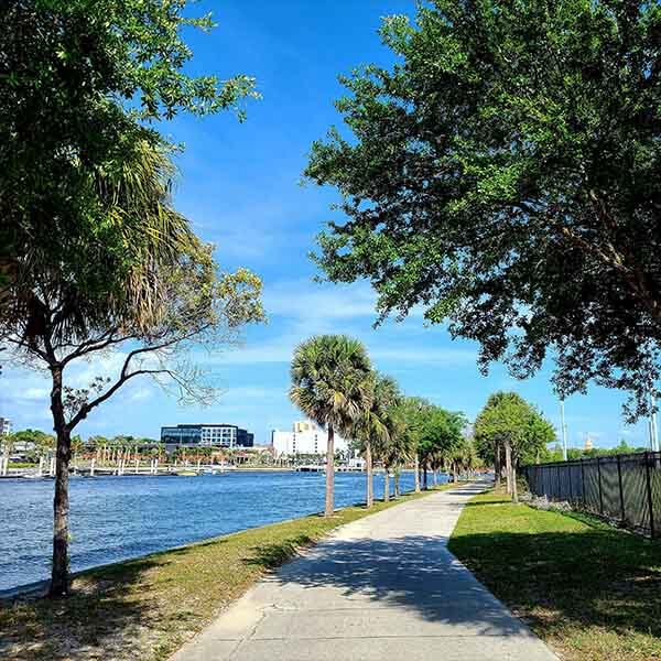 flights to tampa